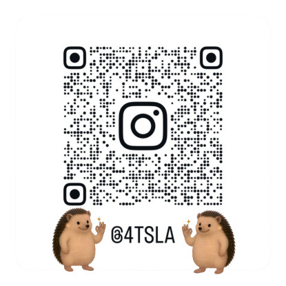 4TSLA Instagram