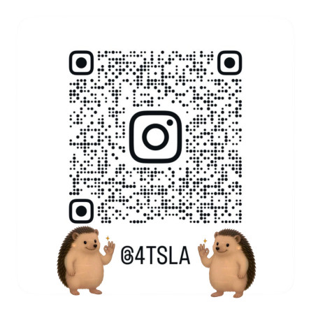 4TSLA Instagram
