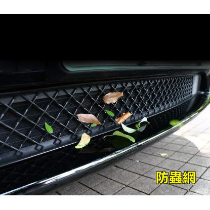 MYG089 防蟲網 (2022~24年 ModelY)